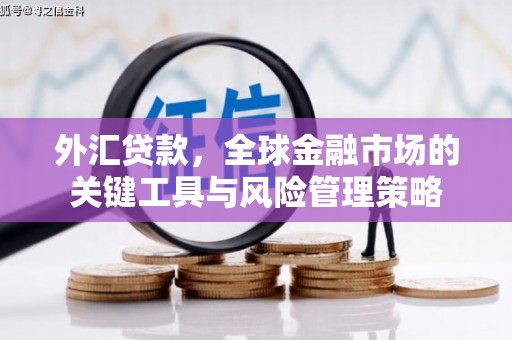 龙海外汇贷款，全球金融市场的关键工具与风险管理策略