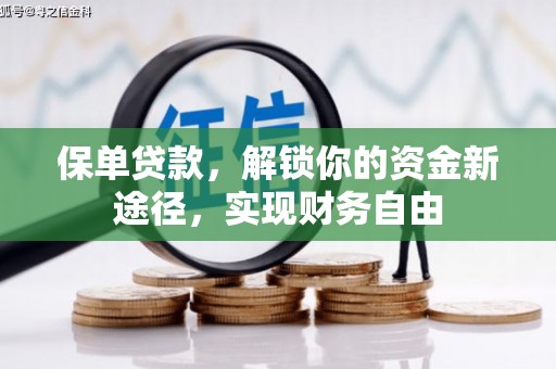 新会保单贷款，解锁你的资金新途径，实现财务自由