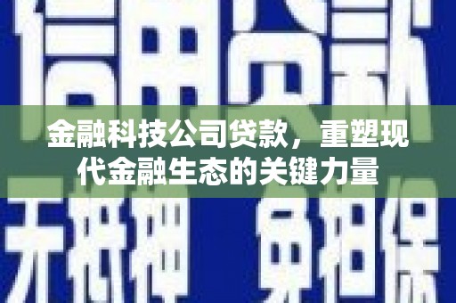 大武金融科技公司贷款，重塑现代金融生态的关键力量