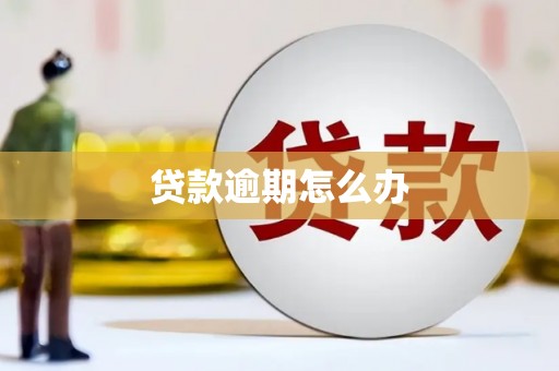 新宾贷款逾期怎么办