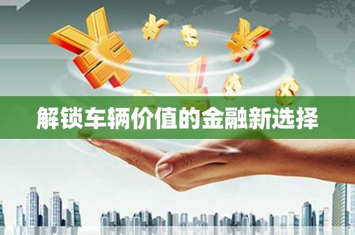 嘉定解锁车辆价值的金融新选择