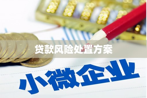 厦门贷款风险处置方案