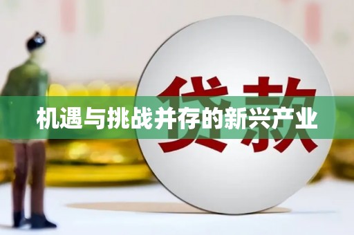 博望机遇与挑战并存的新兴产业
