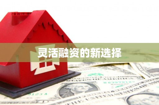 启东灵活融资的新选择