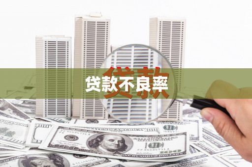 阿瓦提贷款不良率