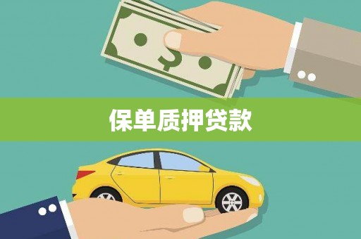 四湖保单质押贷款