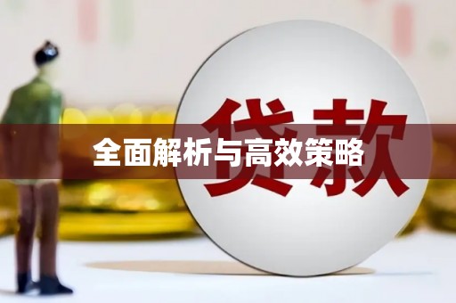 杜尔伯特全面解析与高效策略
