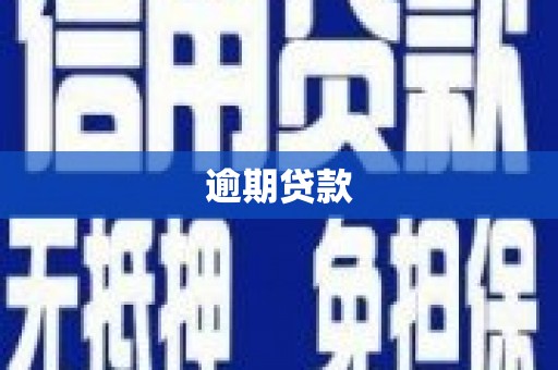 四湖逾期贷款