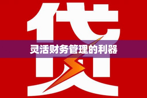 四湖灵活财务管理的利器