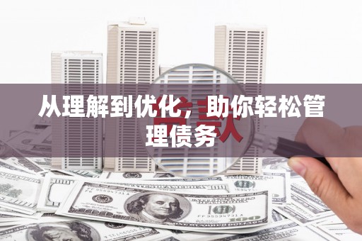 海晏从理解到优化，助你轻松管理债务