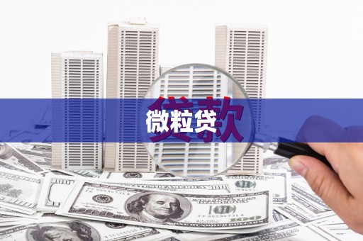 海晏微粒贷