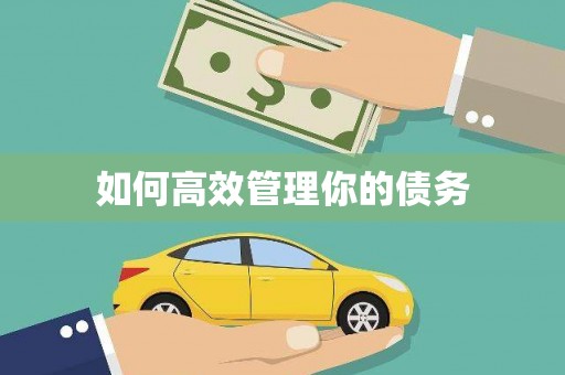 海阳如何高效管理你的债务
