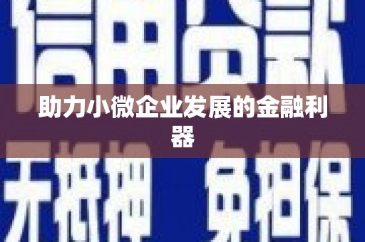 杨梅助力小微企业发展的金融利器