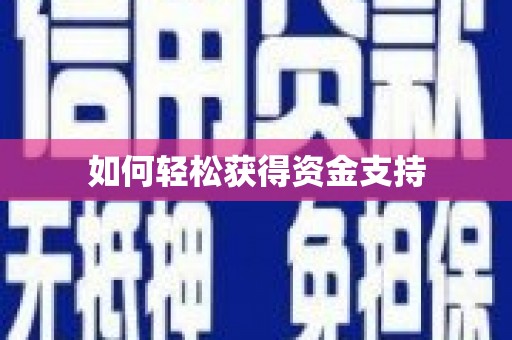 东乡族如何轻松获得资金支持