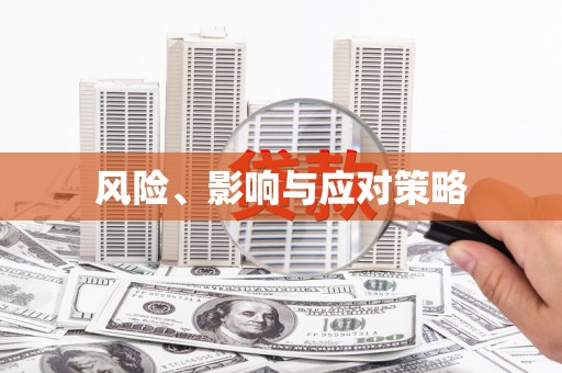 兴文风险、影响与应对策略
