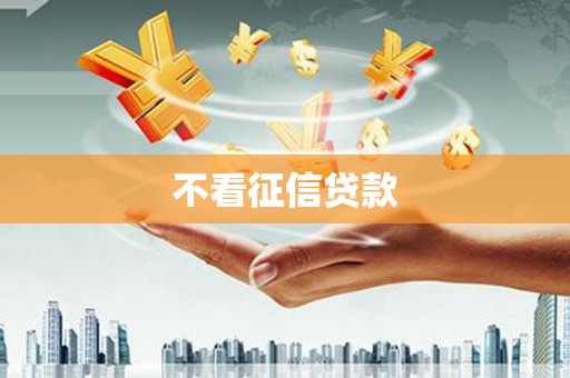 兴文不看征信贷款