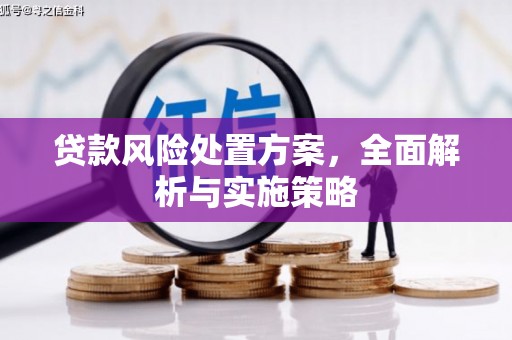 贾汪贷款风险处置方案，全面解析与实施策略
