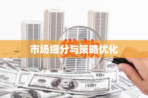 中原市场细分与策略优化