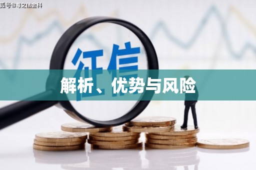 西城解析、优势与风险