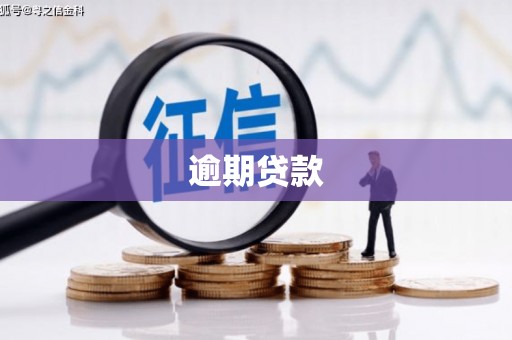 华蓥逾期贷款