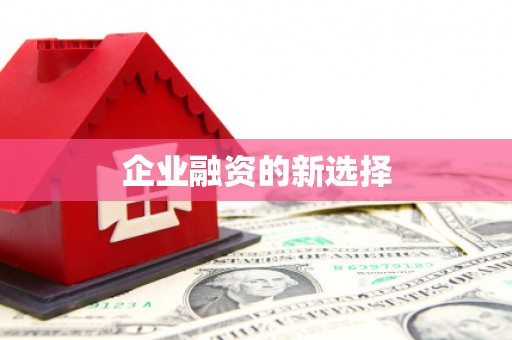 关西企业融资的新选择