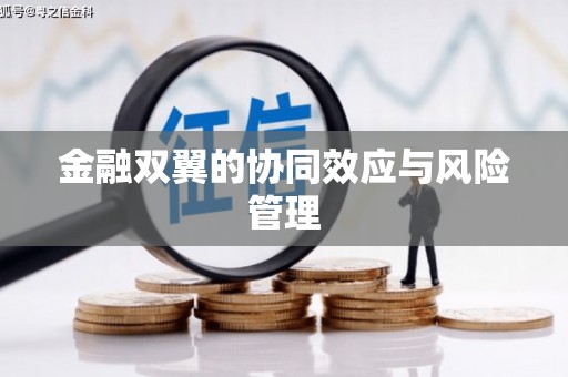 黄龙金融双翼的协同效应与风险管理