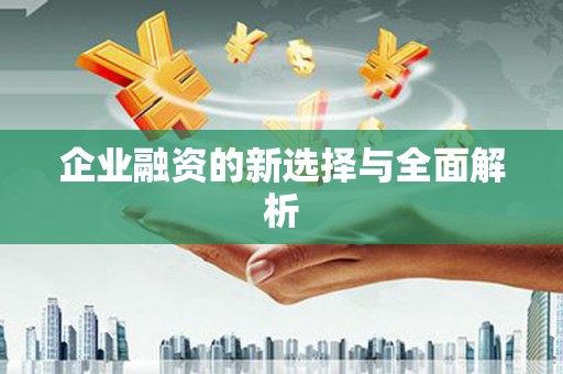 金川企业融资的新选择与全面解析