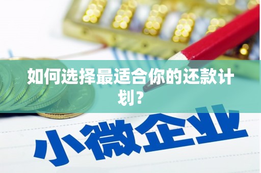 金川如何选择最适合你的还款计划？
