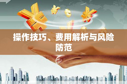 望谟操作技巧、费用解析与风险防范