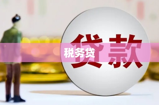 宁津税务贷